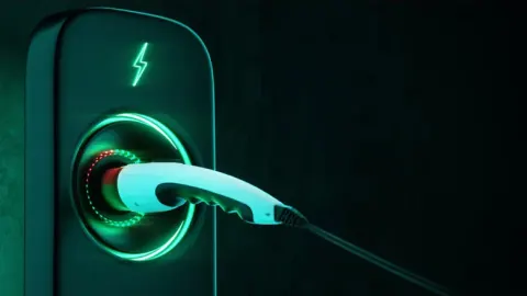 Interim Budget 2024: Auto sector analysts predict a boost for the EV ecosystem
