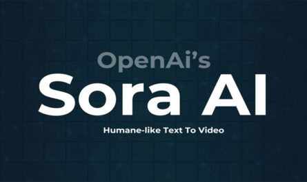 sora